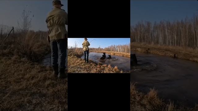 💪У деда стальные шарики дразнить медведей