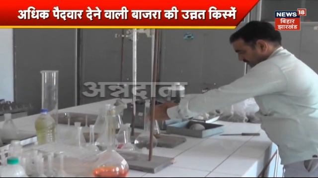 Annadata | बाजरा की उन्नत बुवाई तकनीक जानने के लिए देखि ये रिपोर्ट | Latest News | Agriculture