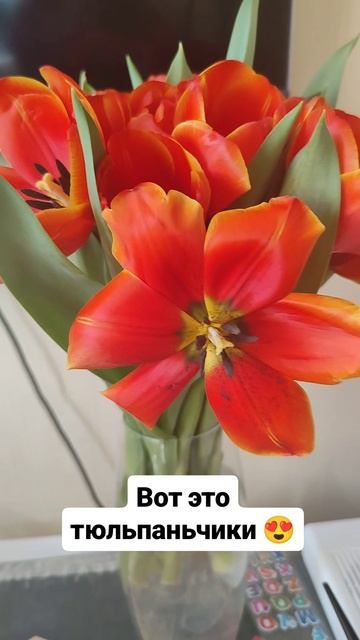 Вот это тюльпаньчики 😍