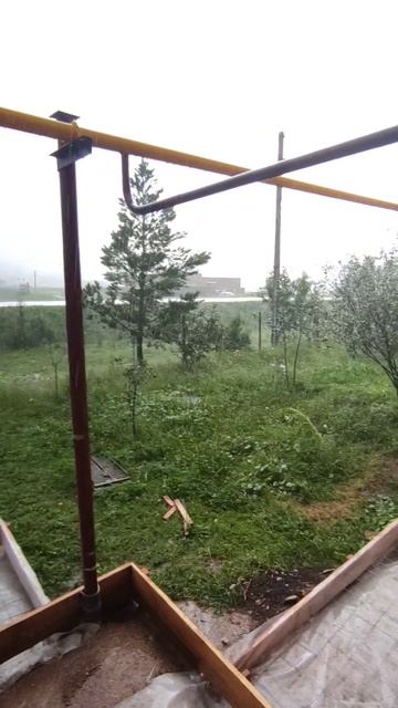 Внезапно хлынул дождь. Лягушка притянула тучу #деревня #лето #дождь #опалубка #бетон #лягушка