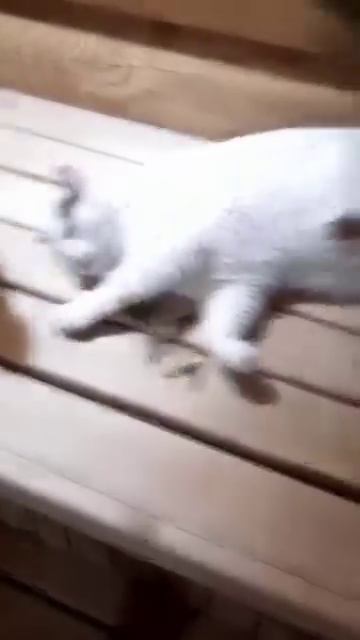 Суббота банный день