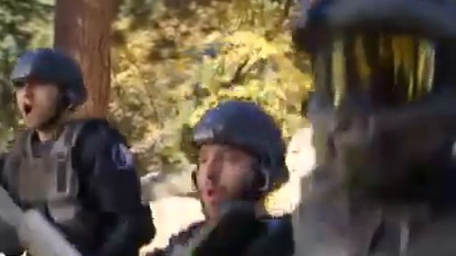 HALO PARODIA
