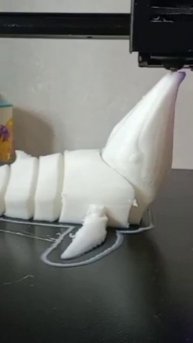 Kywoo 3d max. Printed flexi whale for coloring. #kywoo3d