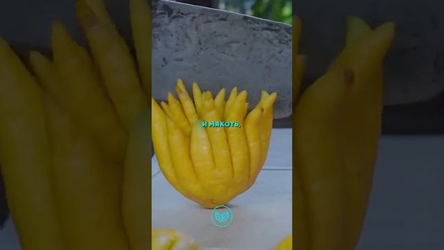 👍 Необычные фрукты_ о которых вы_ нечего не знаете