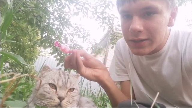 1000010510.mp4