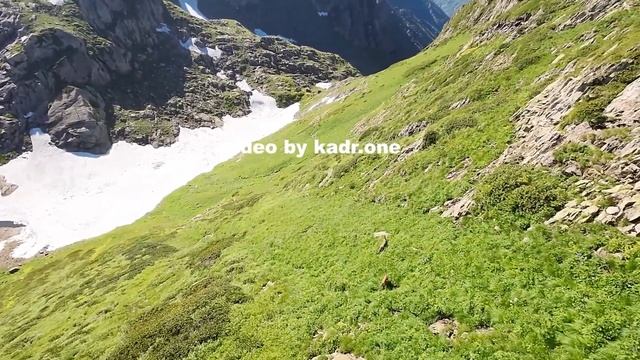 Охота на косуль в Нарнии. #другаяабхазия #экшнтур #kadrone