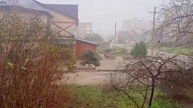 Я заболела/ У нас🌨️/Кот обормот🐱