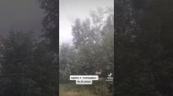 хурма и помидоры . вот мне не скучно.