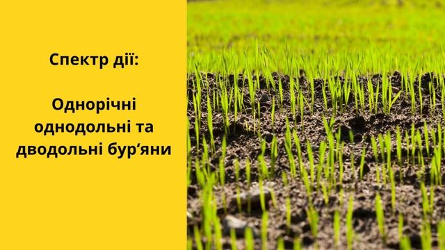 Гербіцид Огородник 🍂 , опис препарату 🍂