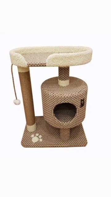 что ты подаришь бездомному котику? #котик #животные #бедный #деньрождения
