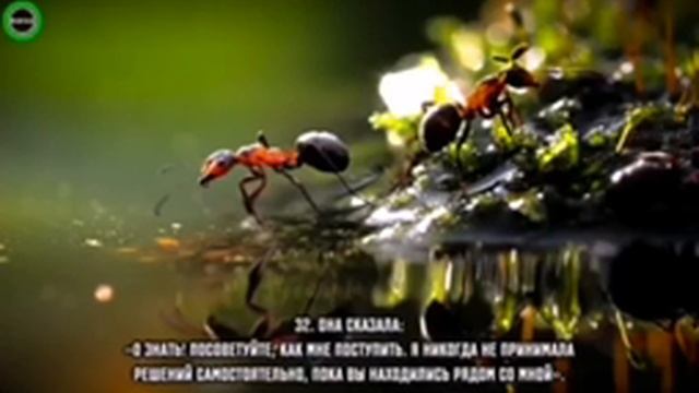 13 июня 2022 г.