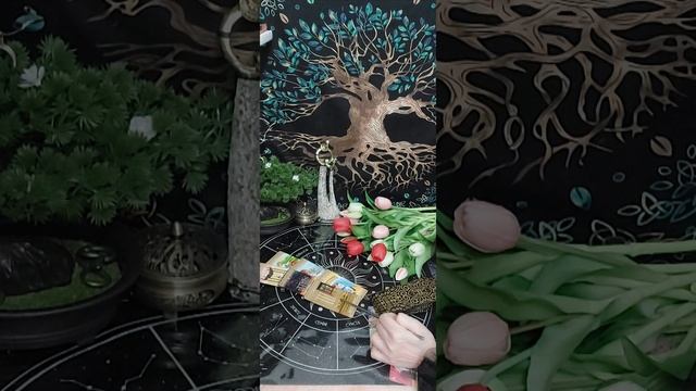 Таро-расклад