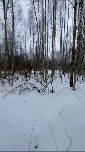 Деревня февраль 2022 2