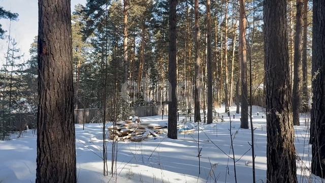 Гиппократ 2