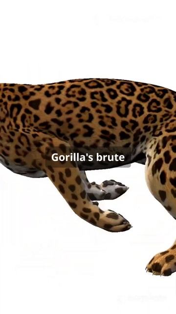 Gorilla vs Leopard: Power Struggle! #animalkingdom #facts #wildlifebattle