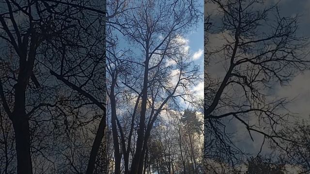 1000010828.mp4 С праздником милые девчата!