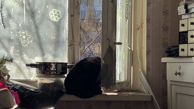 Киска несёт колбаску