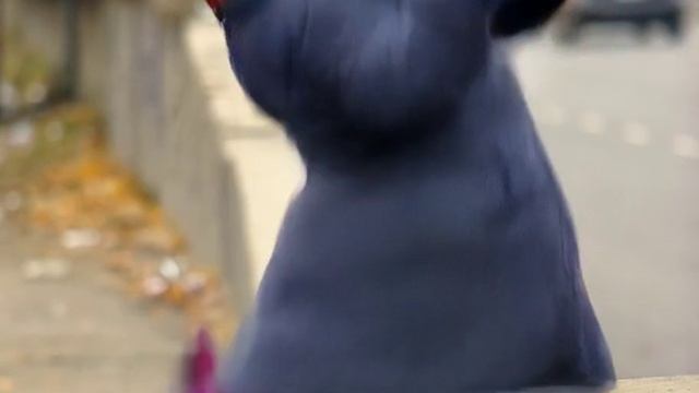 TikVideo.App_7476781989350231302-hd