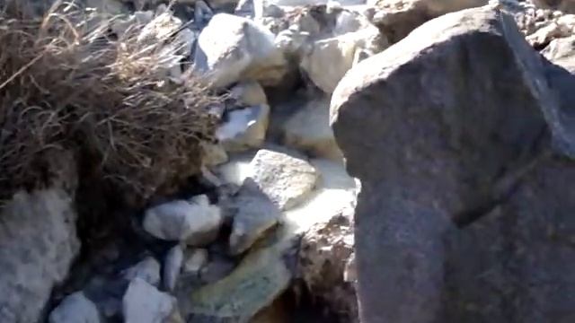 Елена Минькина в Японии_7