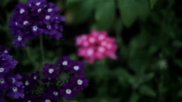 Pentacon 29 / 2.8 m42