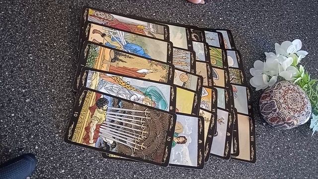 VID_20250308_121700.mp4