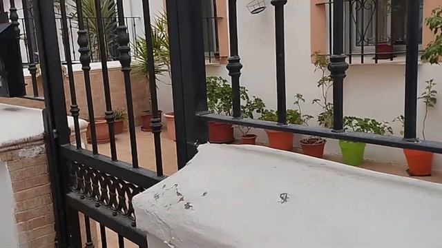 Праздник Огня в Валенсии 🔥🔥🔥