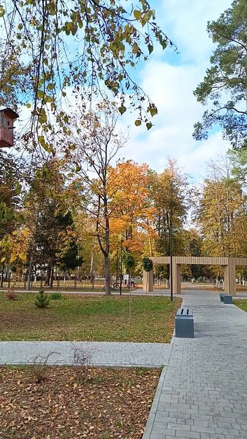 Жуковка. Парк. Скворечник.