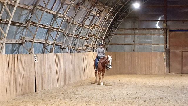 Анна и Каспер, проезд схемы обязательная программа №2 (ОСФ) тест А. #horse, #equestrian, #лошади