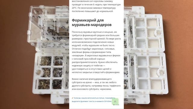 Как выбрать формикарий для муравьёв. Коллаборация с Tapok Mipa. #МуравьиЯрославль