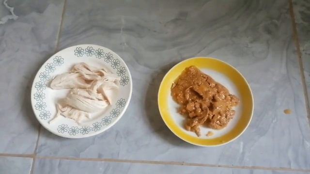 Что выберет кошка?Мясо VS Влажный корм