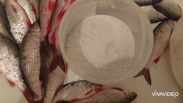 Засолка плотвы.