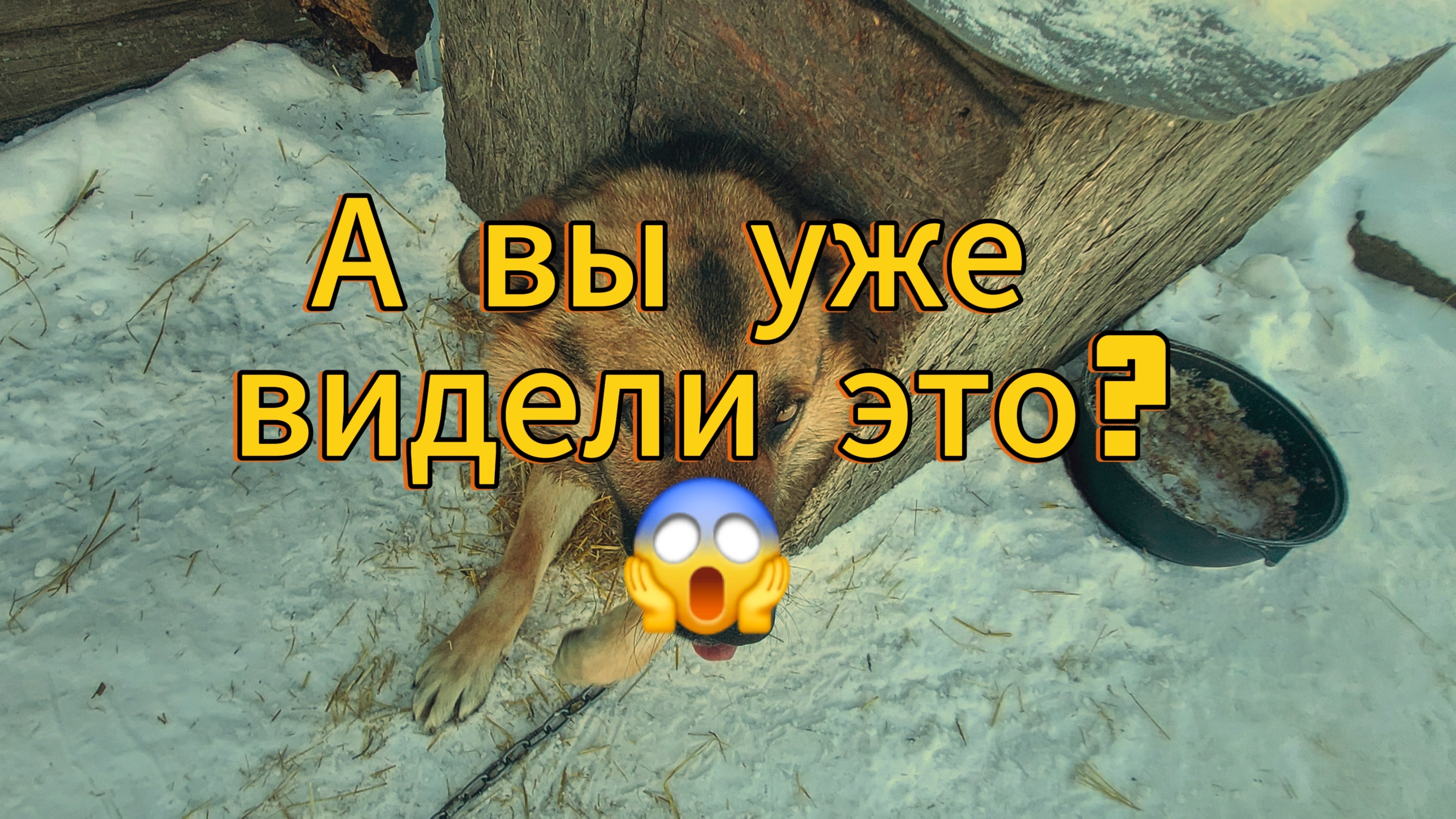 3 серия приют. А вы уже видели это???