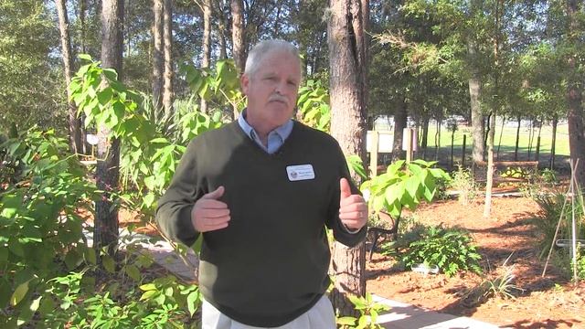 Citrus Today:  Best Irrigation Practices