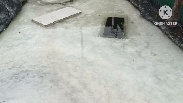 Первые потери