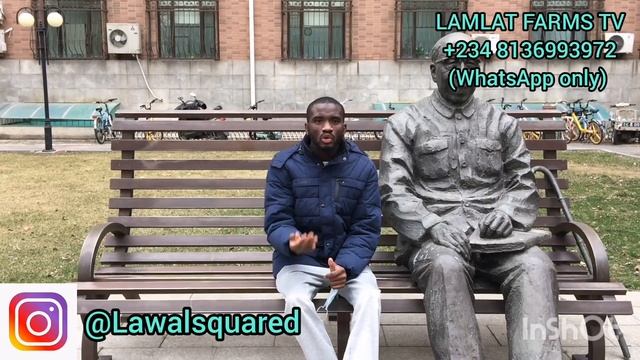 Cost & Requirements of Establishing An Hectare of Oil Palm Plantation