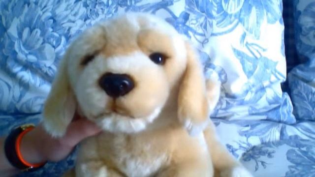 New Webkinz Sig Yellow Lab + Question