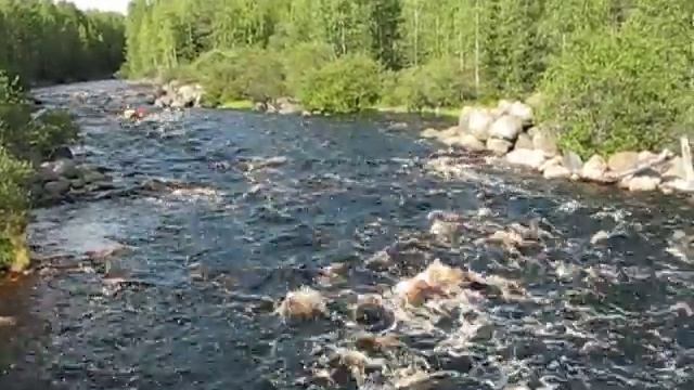 Река Тарасйоки