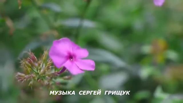 8 марта Мелодии любви и нежности для прекрасных дам!  (СБОРНИК) #МУЗЫКА  #красиваямузыка  #8марта