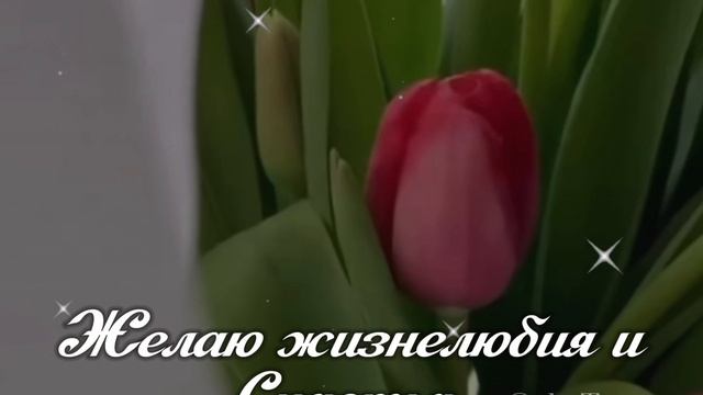 8 Марта