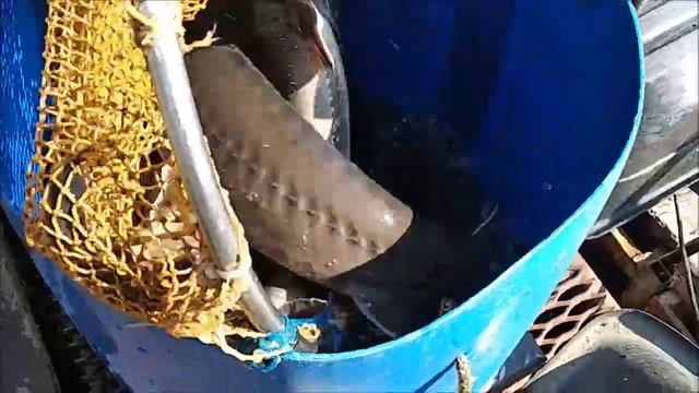 Зарыбление осетром нижнего водоёма 150 кг. Клёвое место, Лосиный остров.