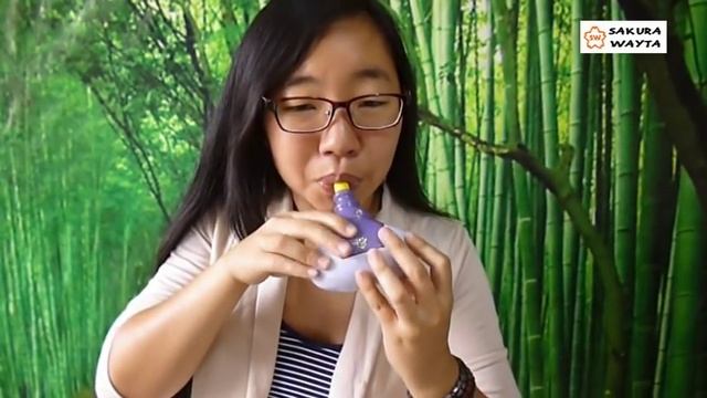 DRAGON BALL Z TAPION OCARINA SAKURA WAYTA - ASI FABRICAMOS