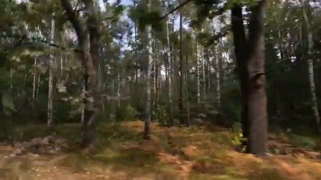 Ночую в аномальном месте. ОДИНОЧНОЕ путешествие на мопеде альфа по Украине Часть 3