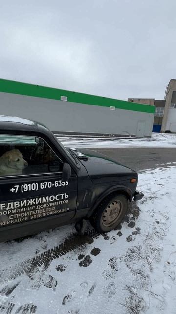 Сдается здание в аренду около трассы в селе Андреевское, Александровский район, Владимирская область