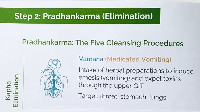 My Eczema Healing Journey with Ayurveda | Episode 1 | What is Panchakarma?