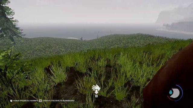 The Forest