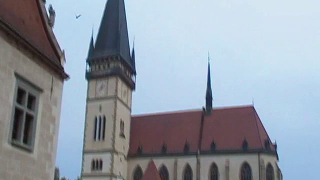 SDV_0052