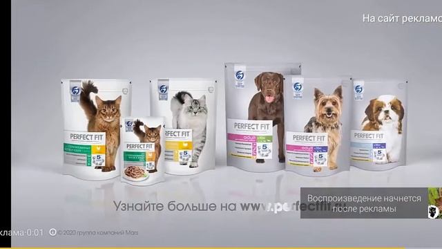 5 ведьм снятых на камеру чёрный кот