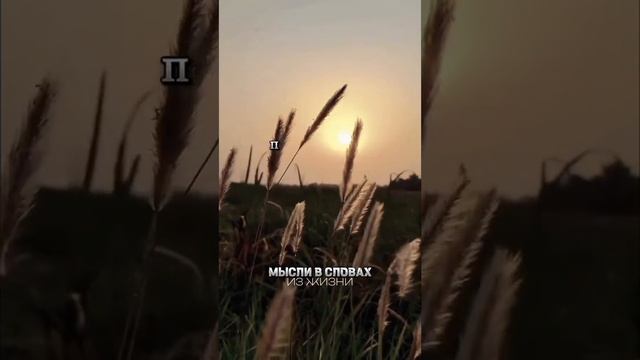 💥ПОДПИСЫВАЙТЕСЬ💥