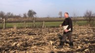 Хотіли посіяти пшеницю по кукурудзі під фрезу- не вийшло.