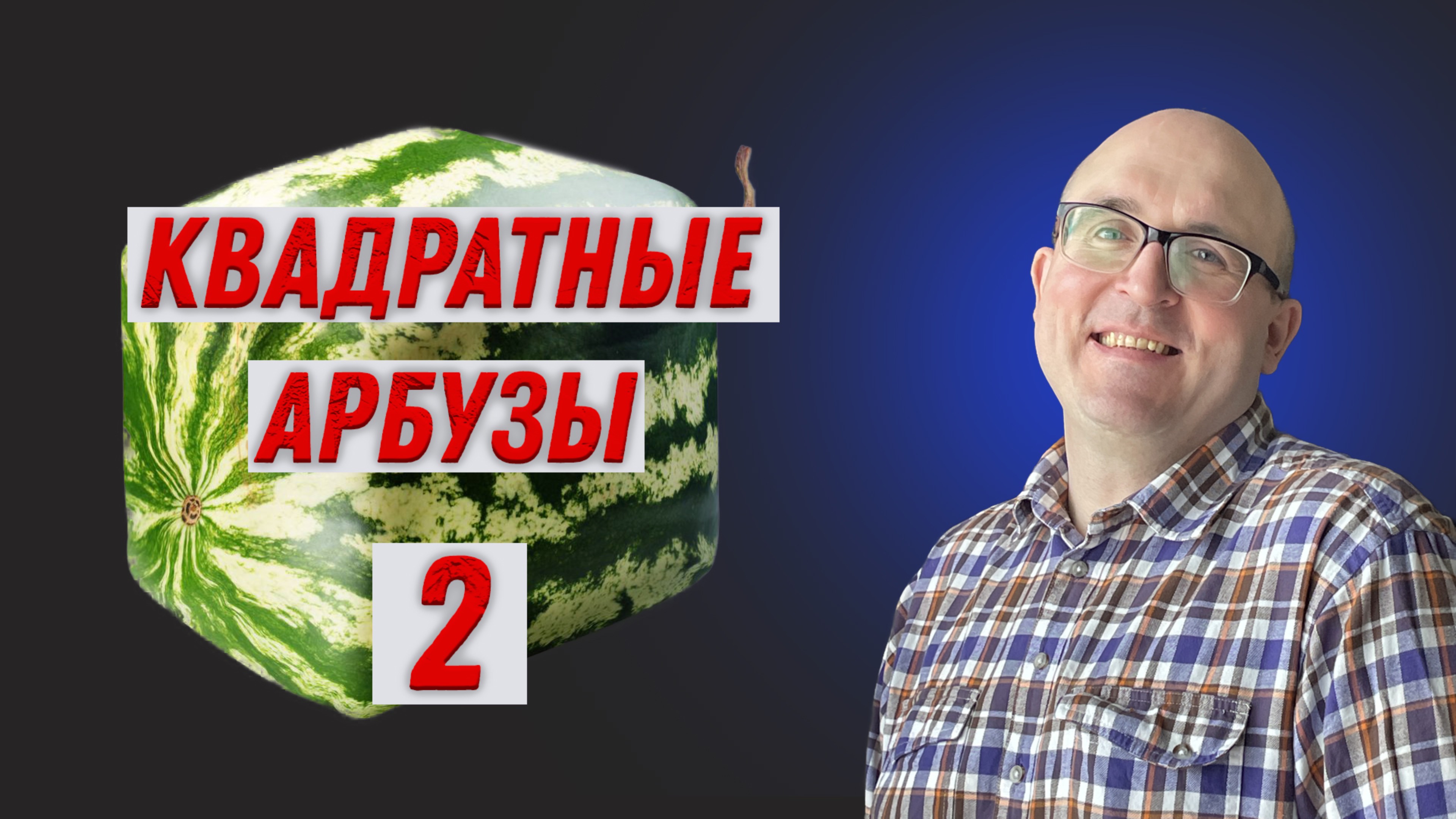 Виктор Макеев. Квадратные арбузы 2.